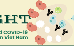 Infographic: VN approves eighth COVID-19 vaccine for emergency use
